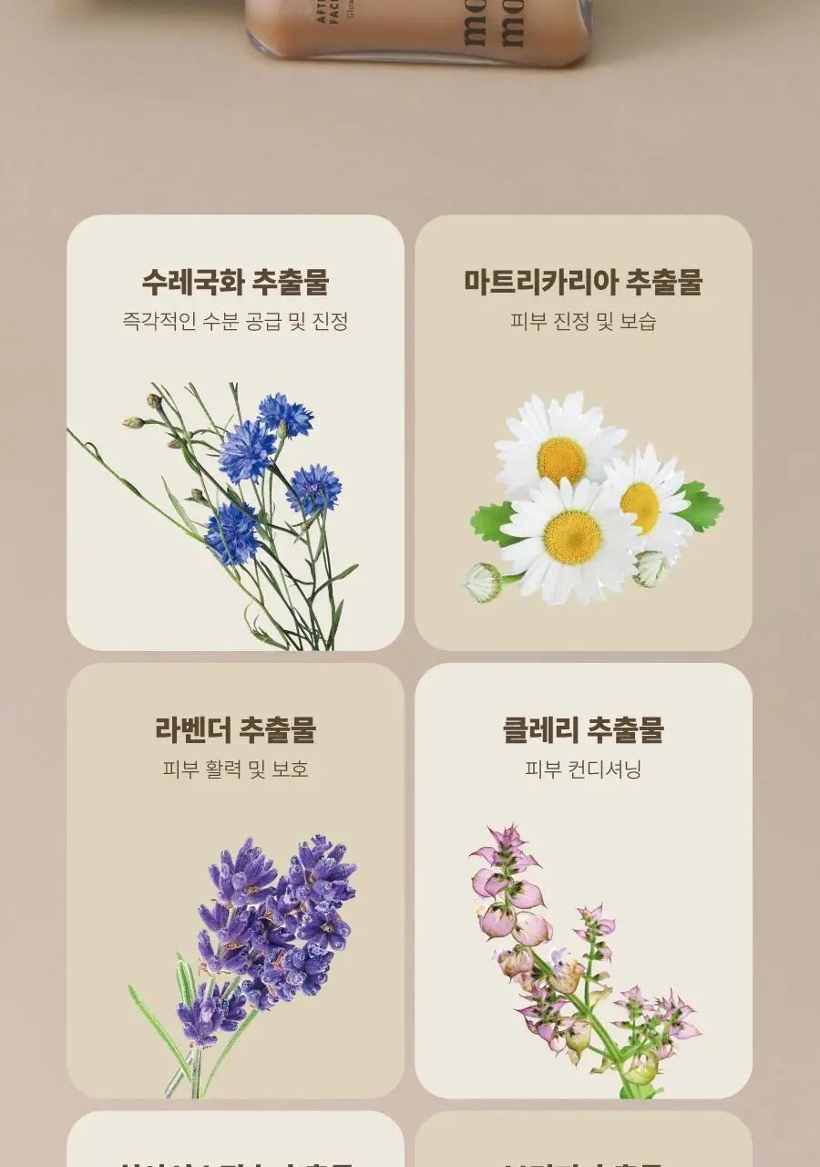 [화잘먹] 모토몬트 애프터눈 페이셜 미스트 100ml 상세페이지 22